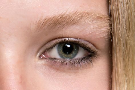 Tightlining your eyes? Here's how to do it! #eyemakeup Invisible Eyeliner, Tightlining Eyes, Sparkle Lips, Makeup Hacks Tutorials, Top Makeup, Makeup For Teens, Celebrity Makeup Artist, Hair Stylist Life, Lip Fillers