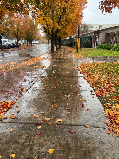 Autumn Rainy Days, Rainy October Day, Rainy Fall Weather, Summer Into Fall Aesthetic, Rainy Halloween Aesthetic, Autumn Weather Aesthetic, Rainy Walk Aesthetic, Autumn Cozy Rainy Days, Rainy Fall Day Autumn Rain