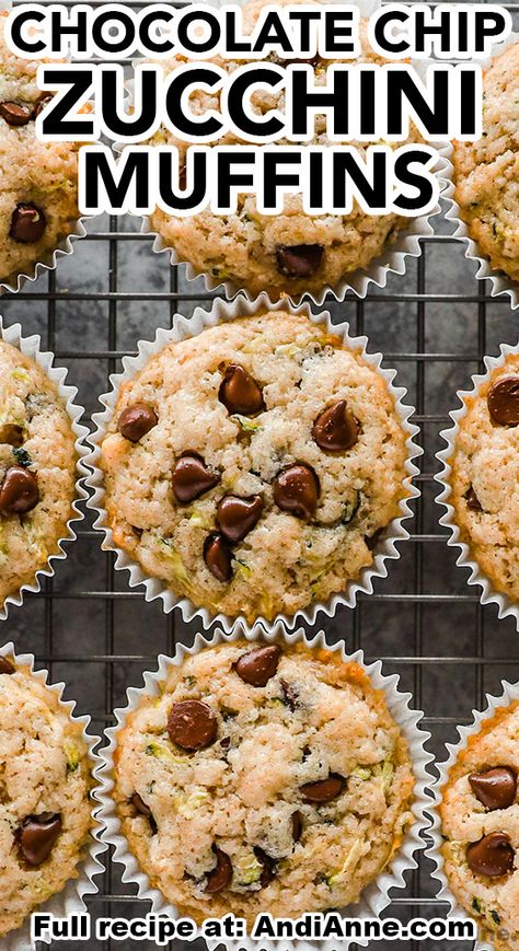 These chocolate chip zucchini muffins are ooey-gooey, chocolatey goodness. Made with grated zucchini and chocolate chips, they’ll have you pleasantly surprised and craving more after the first bite. Easy Zucchini Muffins, Chocolate Chip Zucchini Muffins, Chocolate Chip Muffins Easy, Zucchini Bread Muffins, Zucchini Muffins Healthy, Banana Zucchini Muffins, Choc Chip Muffins, Chewy Sugar Cookie Recipe, Zucchini Recipes Dessert