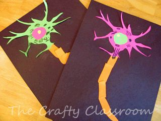 This nerve cell caught my eye.  This blog has many other crafts to go along with studies. Anatomy Crafts, The Brain For Kids, Human Body Crafts, Human Body Projects, Brain Craft, Human Body Activities, Brain Based Learning, Anatomy Lessons, Human Body Unit