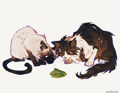 Warrior Cats, Deviantart, Art