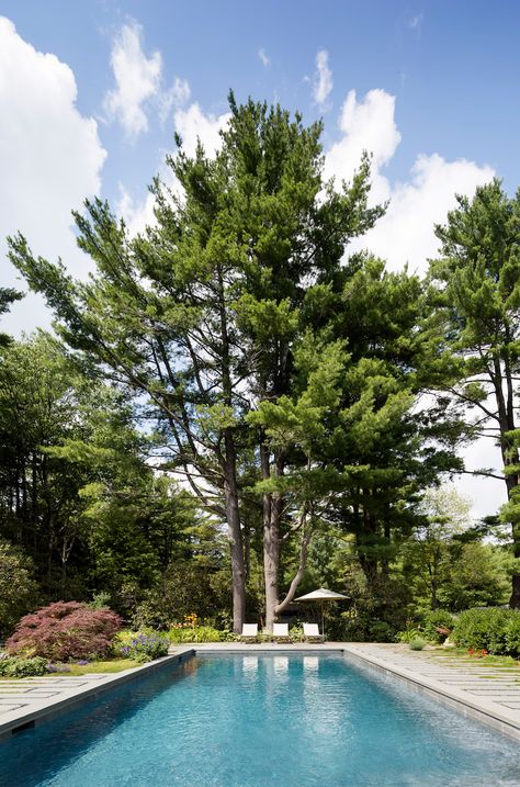 Swimming Pool of the Week: A 1920s-Era Summer House at Woods' Edge - Gardenista Spanish Pool, Country Pool, Oasis Pool, Rose Garden Design, Countryside Landscape, Ponds Backyard, Whitney Museum, Pool Time, Swimming Pool Designs