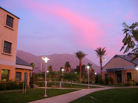 Uc Riverside Aesthetic, Riverside Aesthetic, Uc Riverside, Education University, Med School, University Of California, Medical School, Dream Life, Monument Valley