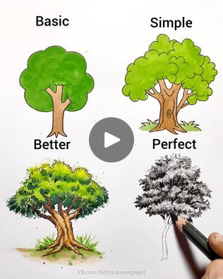 2.6M views · 32K reactions | Learn to Draw a Tree Like a Pro - Basic vs Perfect | Learn to Draw a Tree Like a Pro - Basic vs Perfect | By Did you know? | Facebook How To Draw A Tree Step By Step Easy, Tree Drawing For Kids, Draw A Tree, Basic Drawing, Tree Drawing, Learn To Draw, Drawing For Kids, Like A Pro, A Tree