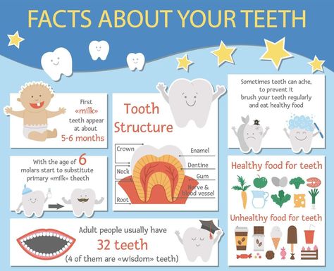 Cute dental care infographics for kids. Vector funny stomatology information poster with cute smiling characters. Teeth facts info picture for children. Dentist baby clinic brochure design. Clinic Brochure, Dental Wall Art, Dental Care For Kids, Interactive Poster, Dental Posters, Dentist Clinic, Kids Dentist, Kids Teeth, Dental Facts