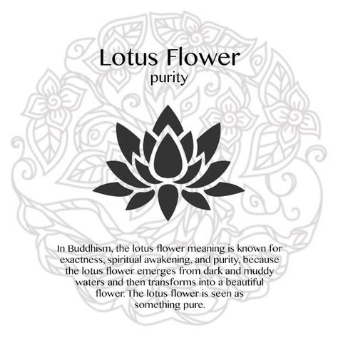 Flower Lotus Tattoo, Lotus Flower Meaning, Yoga Symbols, Polynesian Tattoos, Inspiration Tattoos, Cat Tattoos, Spiritual Tattoos, Flower Meanings, Geometric Tattoos