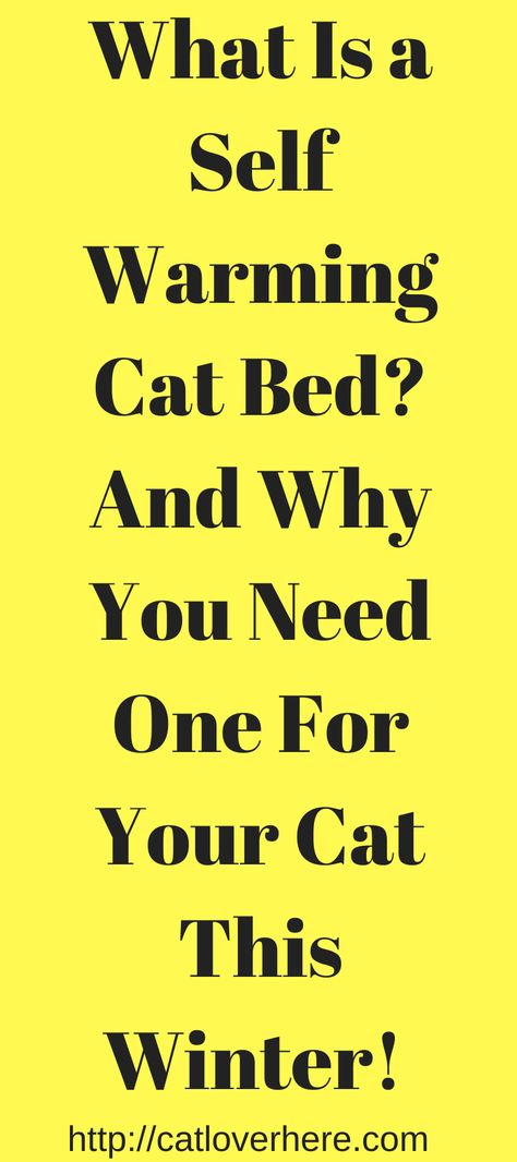 If you're ever wondering what is a self warming cat bed then you need to check this article out  You'll learn how awesome they are for your cat and how it will help keep them warm  https://catloverhere.com/2019/11/03/what-is-a-self-warming-cat-bed/  #Cats #Kitten  #Winter  #Catbed  #Keepcatswarm Heated Outdoor Cat House, Outside Cat House, Heated Cat House, Heated Cat Bed, Diy Cat Bed, Diy Pet Bed, Kitten Beds, Cat Sanctuary, Outdoor Cat House