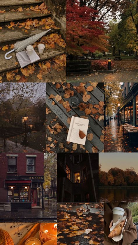 Image Halloween, Fall Mood Board, Cute Fall Wallpaper, Autumn Scenery, Fall Pictures, Autumn Cozy, Autumn Activities, Autumn Aesthetic, Fall Wallpaper