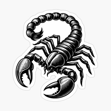 Get my art printed on awesome products. Support me at Redbubble #RBandME: https://www.redbubble.com/i/sticker/Scorpion-Tattoo-by-Catalinandrei/165208407.EJUG5?asc=u Scorpion Tattoos, Scorpion Tattoo, Tattoo Sticker, Tattoo Stickers, Scorpion, My Art, Awesome Products, Art Prints, Tattoos