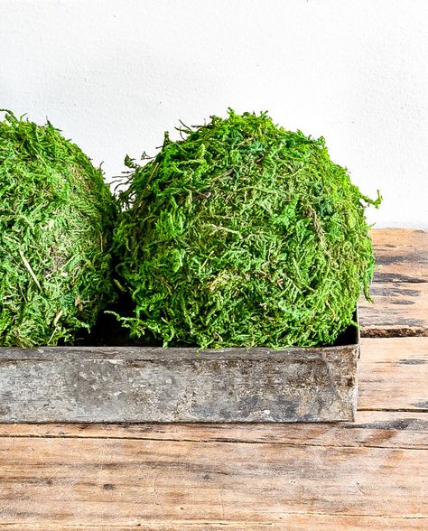 How To Make A Moss Ball, Decorative Balls Centerpiece, How To Make Moss Balls, Moss Balls Decor Centerpieces, Preserving Moss, Moss Ball Centerpiece, Moss Balls Decor, Diy Decorative Balls, Moss Crafts