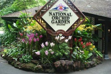 The 5 Best Singapore Botanical Garden & National Orchid Garden Tours, Trips & Tickets - Singapore | Viator Singapore Attractions, Holiday In Singapore, Singapore Garden, Singapore Botanic Gardens, Orchid Garden, Orchids Garden, Radiant Orchid, Singapore Travel, Garden Park