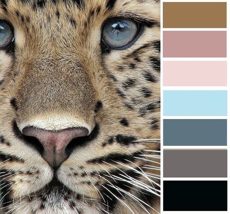 Leopard Print Color Palette, Leopard Color Palette, Robot Painting, Venus Goddess, Pantone Colour Palettes, House Color Palettes, Color Schemes Colour Palettes, Artist Palette, Blue Colour Palette