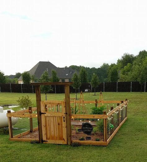 Non Raised Vegetable Garden, Mound Planting Garden Ideas, Raised Garden Bed Fence Ideas, Diy Garden Enclosure, Enclosed Vegetable Garden Ideas, Protect Garden From Animals, Fenced In Garden Ideas, Veggie Garden Fence, Fenced Garden With Raised Beds