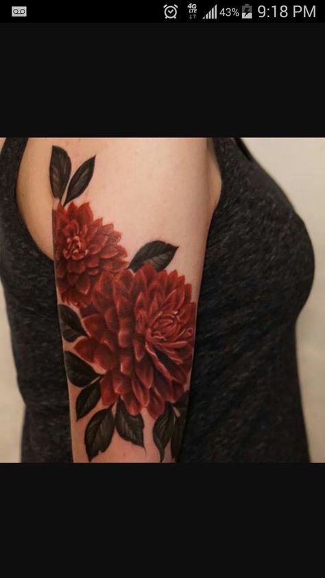 Dark Red Dahlia, Dahlia Flower Tattoo, Red Dahlia Flower, Dahlia Tattoo, Burgundy Dahlia, Red Dahlia, Tattoo Flowers, Hair Skin Nails, Dahlia Flower