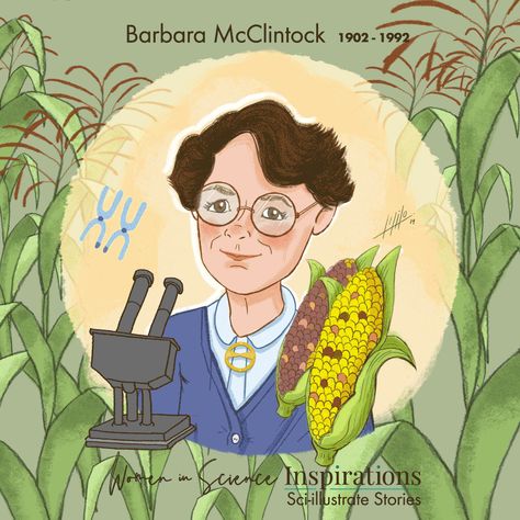 Barbara McClintock. An American cytogeneticist who… | by Sci-Illustrate | Sci-Illustrate Stories | Medium Barbara Mcclintock, Gregor Mendel, Faculty Meetings, Best Fiction Books, Cold Spring Harbor, Women Scientists, High School Life, University Of Missouri, Nobel Prize