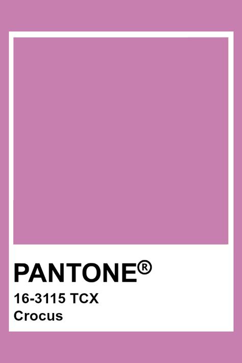 PANTONE 16-3115 TCX Crocus #pantone #color #orchid Orchid Color Palette, Plum Paint Colors, Pantone Shades, Pantone Tcx, Purple Crocus, Pantone 2016, Pantone Color Chart, Pantone Swatches, Lilac Bouquet