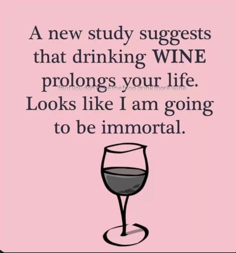 Whiskey Quotes, Wine Jokes, Funny Drinking Quotes, Wine Meme, Wine Glass Sayings, Funny Women Quotes, Alcohol Humor, Drinking Wine, Drinking Quotes