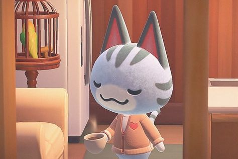 Lolly Animal Crossing, Holding A Cup Of Coffee, Animal Crossing Memes, Animal Crossing Characters, Fell Asleep, A Cup Of Coffee, Cup Of Coffee, Animal Crossing, Coffee