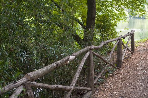 Good Neighbor Fence, Rustic Outdoor Spaces, Rustic Garden Fence, Diy Ponds Backyard, Garden Gates And Fencing, Estate Gardens, The Biltmore Estate, Diy Garden Fence, Rustic Fence