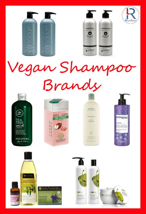 People are trying to incorporate veganism into every part of their life and if you’re also one of them then we’ve curated a list of Cruelty free vegan shampoo brands.  Complete List @Rapidleaks.  #vegan #veganshampoo #crueltyfree Chemical Free Shampoo, For Silky Smooth Hair, Shampoo Brands, Silky Smooth Hair, Vegan Hair, Shampoos, Dandruff, Smooth Hair, Chemical Free