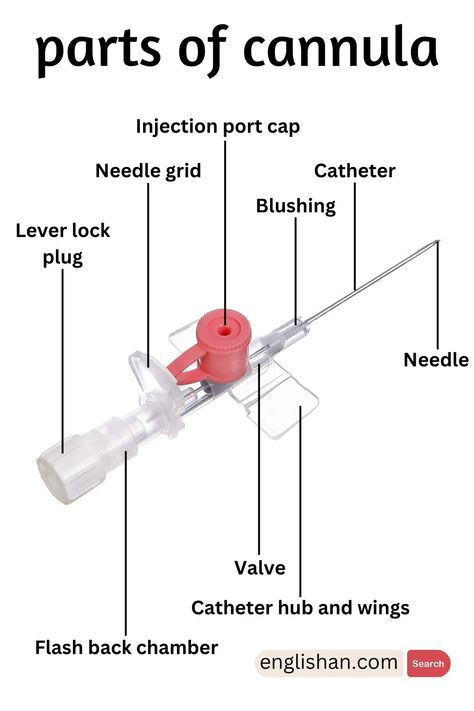 Parts of Cannula Names and Types and Infographics Types Of Nurses, Types Of Injection, Phlebotomy Study, Medical Infographic, Medical Terminology Study, Nursing School Inspiration, Medical Assistant Student, Nursing School Essential, Medical School Life