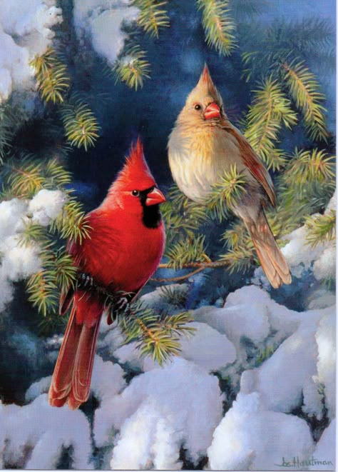 Cardinal Pictures, Two Cardinals, Cardinal Birds Art, Cardinal Couple, Winter Flags, Winter Cardinal, Winter Bird, Cardinal Birds, Outdoor Flags