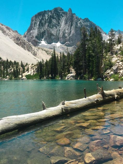 Big Pine North Fork, California Hike | Inyo National Forest // Travel Break #california #visitcalifornia #hiking #inyo Hiking California, Eastern Sierras, West Coast Trail, California Hikes, Travel California, Mammoth Lakes, Colorado Hiking, Visit California, California Travel Road Trips