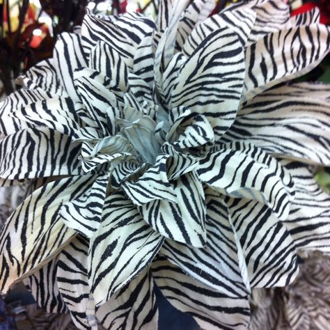 Zebra print flowers from Michaels Zebra Flowers, Zebra Print, Animal Print Rug, Flower Prints, Creative Art, House Plants, Plant Leaves, Beautiful Flowers, Wedding Inspiration