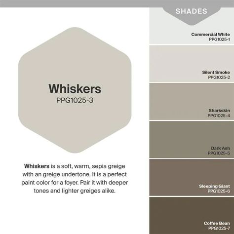 Whiskers Paint Color Ppg, Glidden Farmhouse Paint Colors, Glidden Paint Colors Neutral, Whiskers Paint Color, Ppg Paint Colors Interiors, Ppg Whiskers, Glidden Paint Colors, Basement Update, Ppg Paint Colors