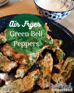 Air Fryer Green Peppers, Fried Green Bell Peppers, Green Bell Pepper Recipes, Green Pepper Recipes, Recipe For Air Fryer, Cooks Air Fryer, Bell Pepper Recipes, Green Peppers, Fritter Recipes