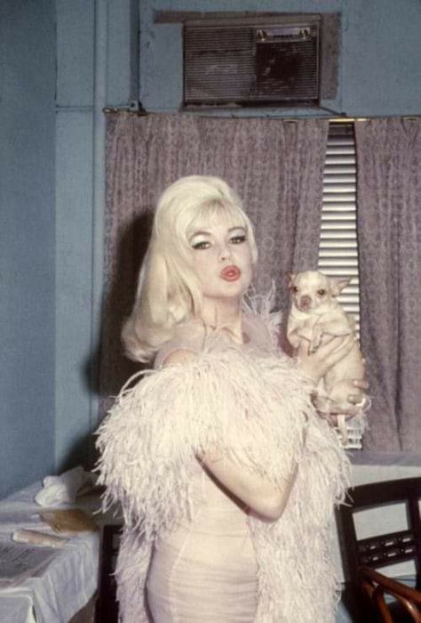 Latin Quarter, Jayne Mansfield, Blonde Bombshell, Vintage Glamour, Vintage Hollywood, Hollywood Glamour, Up Girl, Vintage Beauty, Classic Hollywood