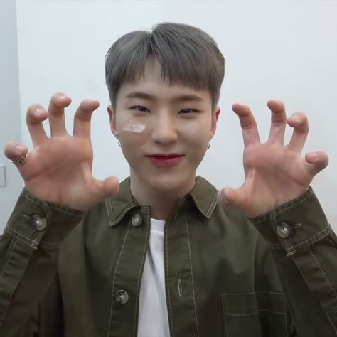 Hoshi Tiger Pose, Hoshi Horanghae Pose, Horanghae Pose, Hoshi Horanghae, Svt Hoshi, Seventeen Aesthetic, Seventeen Hoshi, Hoshi Seventeen, Lq Icons