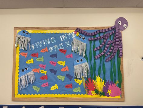 Under the sea themed bulletin board for back to school! Underwater Bulletin Board, Under The Sea Bulletin Board Ideas, Under The Sea Bulletin Board, Sea Bulletin Board, Teacher Bulletin Boards, Back To School Bulletin Boards, Preschool Class, School Theme, Preschool Special Education