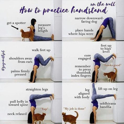 Yoga Handstand, Body Transformations, Frosé, Exercise Program, Yoga Posen, Yoga Exercises, Yoga Sequences, Yoga Lifestyle, Yoga Challenge