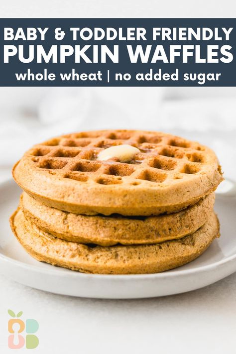 Whole Wheat Pumpkin Waffles for Baby & Toddler - Baby Led Bliss Waffles For Baby, Healthy Pumpkin Waffles, Oatmeal Breakfast Cookies, Pumpkin Pancake Recipe, Waffle Ingredients, Toddler Recipes, Baby Led Weaning Recipes, Weaning Recipes, Pumpkin Waffles