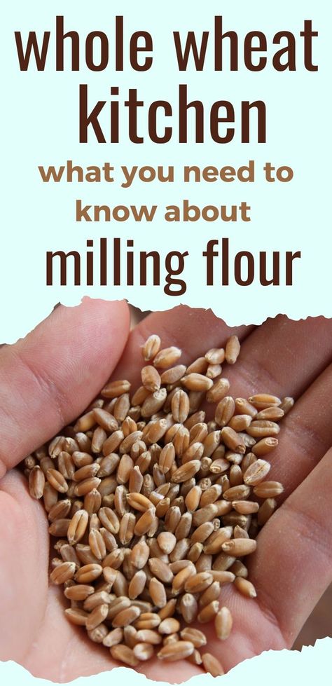 Making Flour From Wheat, How To Make Flour From Wheat, Making Your Own Flour, Grind Your Own Flour, How To Grind Your Own Wheat, Home Milled Grain Recipes, Grinding Wheat For Bread, Mill Your Own Flour, How To Make Your Own Flour