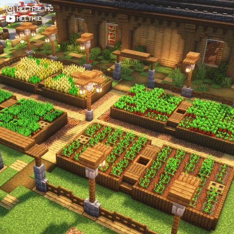 Minecraft Raised Garden, Farm Area Minecraft, Crop Fields Minecraft, All The Mods 8 Minecraft Builds, Rice Field Minecraft, Minecraft Farming Layout, Large Minecraft Farm, Minecraft Potato Farm Design, Minecraft Vegetable Garden Ideas