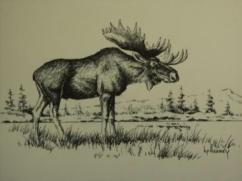 Moose Drawing, North Pole Animals, Stencils Design, Hunting Drawings, Moose Illustration, Moose Tattoo, Moose Painting, Moose Pictures, Deer Artwork