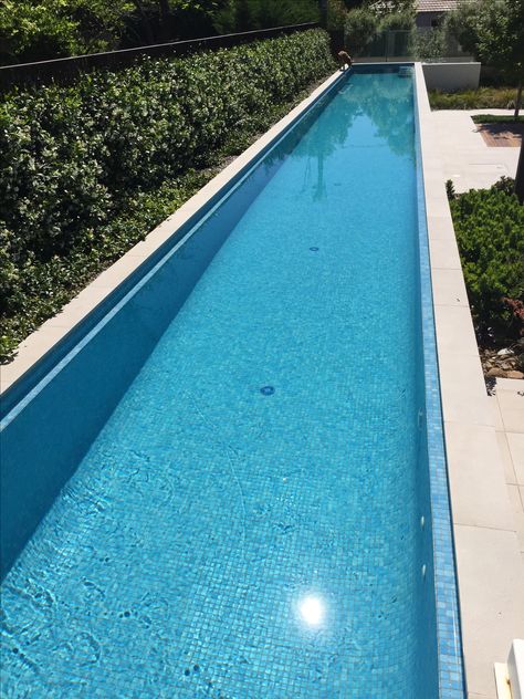 Above ground 25m lap pool with landscaping. Jasmine hedge is ideal near pool as very little leaf litter and compact. Narrow Lap Pool, 25 Yard Backyard Lap Pool, Backyard Endless Pool, Lap Pool Dimensions, Jasmine Hedge, Slim Pool, Long Swimming Pool, Small Pool Backyard, Pool Dip