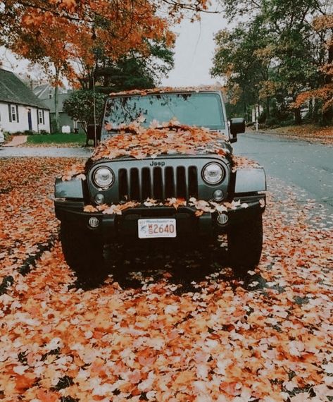 Jeep Aesthetic, Jeep Interiors, White Jeep, Red Jeep, Black Jeep, Kid Friendly Travel Destinations, Valentine Photography, Jeep Girl, Jeep Cars