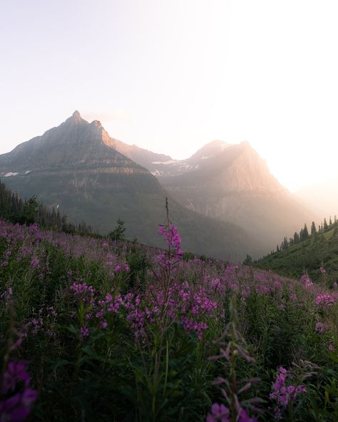 Montana Summer Aesthetic, Mountains Montana, Montana Trip, Montana Winter, Montana Mountains, Paz Mental, River Trail, Mountain Life, Summer Aesthetic