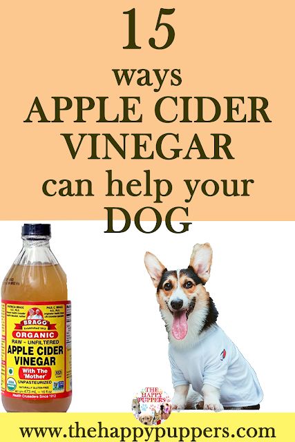 15 ways apple cider vinegar can help you dog Apple Cider Vinegar For Dogs Itching, Acv For Dogs Skin, Apple Cider Vinegar For Dogs Ears, Smelly Dog Remedies, Acv For Dogs, Apple Cider Vinegar Dogs, Dogs Ears Infection, Dog Psychology, Stinky Dog