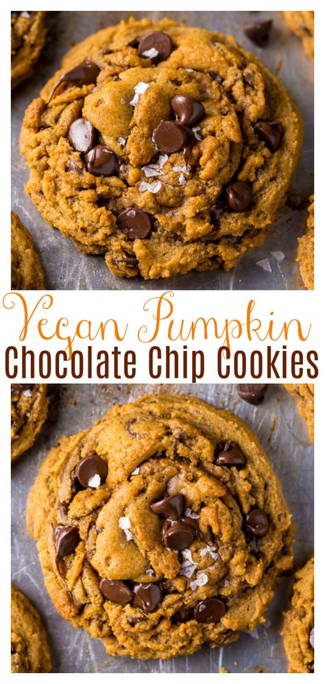 Pumpkin Cookies Vegan, Vegan Pumpkin Chocolate Chip Cookies, Cookies Pumpkin, Coconut Dessert, Chocolate Pumpkin, Cookies Vegan, Pumpkin Chocolate Chip Cookies, Pumpkin Chocolate Chip, Brownie Desserts