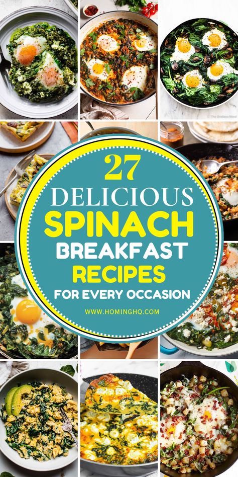 Say goodbye to boring breakfasts and hello to vibrant, nutritious meals with spinach as the star ingredient! Spinach is not only full of antioxidants and essential nutrients, but it’s also incredibly versatile, seamlessly fitting into any meal, especially breakfast. Whether you're looking for a quick breakfast on the go or a leisurely brunch option, our collection of 27+ spinach breakfast recipes has something for everyone. Get ready to discover new ways to enjoy this leafy green while boosting your morning energy and health. Spinach Breakfast Recipes, Meals With Spinach, Quick Breakfast On The Go, Tasty Breakfast Ideas, Almond Butter Smoothie, Spinach Breakfast, Morning Energy, Protein Packed Meals, Breakfast Hash