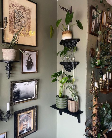 Witchy Gothic Bedroom, Green Goth Home Decor, Sage Green Gothic Aesthetic, Gothic Bedroom With Plants, Sage Green Gothic Bedroom, Simple Goth Home Decor, Simple Gothic Home Decor, Boho Goth Kitchen, Gothic Plant Room