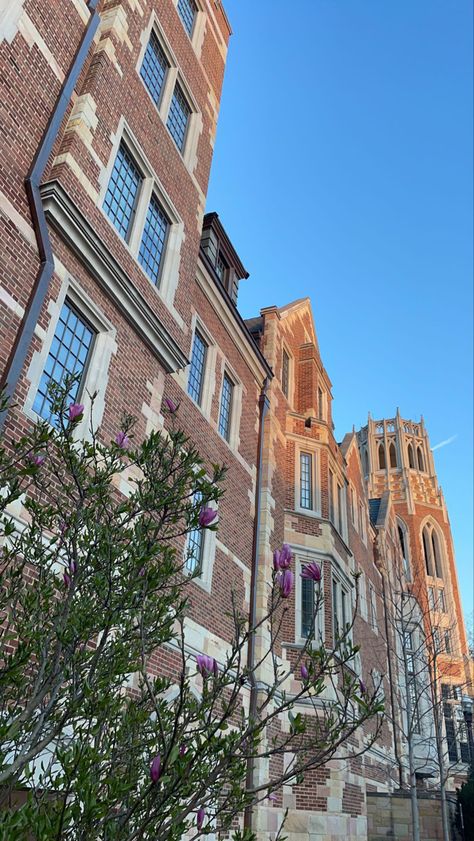 Vanderbilt University Aesthetic, Vanderbilt Aesthetic, Aesthetic Buildings, Motivational Board, Apartment Things, Dream Dorm, Vanderbilt University, College Aesthetic, Dream College