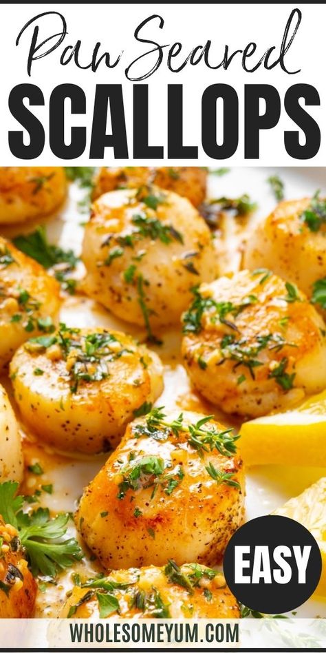 Learn how to sear scallops in just 10 minutes! This EASY pan fried sea scallops recipe has a perfect golden crust and savory garlic butter sauce. #wholesomeyum Pan Fried Scallops Garlic, How To Pan Fry Scallops, Fried Sea Scallops, Pan Seared Sea Scallops, How To Fry Scallops, Gordon Ramsay Pan Seared Scallops, Sea Scallops Recipes, Sauteed Scallops Recipes, Saute Scallops Recipe