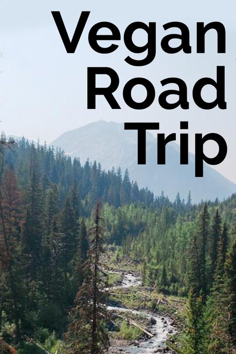 Recipes and tips for your next road trip! #vegan #vacation #bearplate #roadtrip #veganrecipes Vegan Road Trip Meals, Vegan Road Trip Food, Vegan Travel Food, Vacation Food, Boston Trip, Planning A Road Trip, Road Trip Food, Vacation Meals, Road Trip Snacks