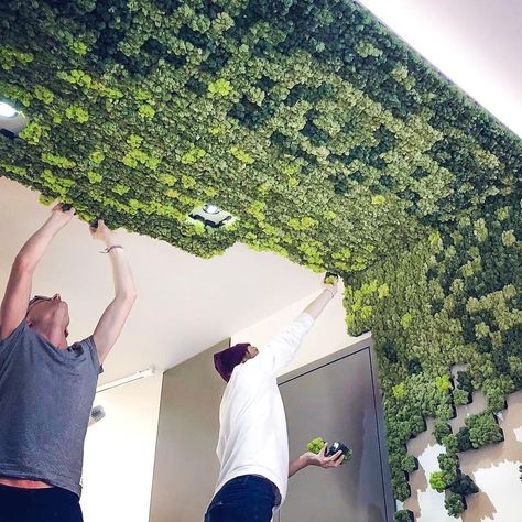 Pixels looking good! Photo by @bellton_ag Belton.ch/nordgrona⠀⠀  ⠀⠀  P.S: Today is the last day to compete in our giveaway! Tomorrow a lucky winner will be announced! Moss Walls, Functional Wall Art, Indoor Greenery, Reindeer Moss, Good Photo, Moss Wall, Contract Furniture, Wall Systems, Day Work