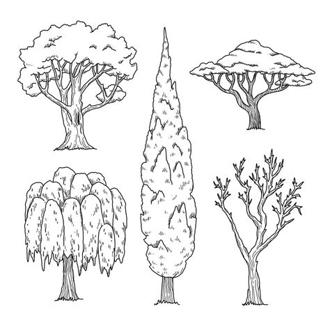 Plants Drawing, Types Of Trees, Tree Outline, Create Icon, Architecture Life, Brush Art, Outline Illustration, Paint Brush Art, Plant Drawing